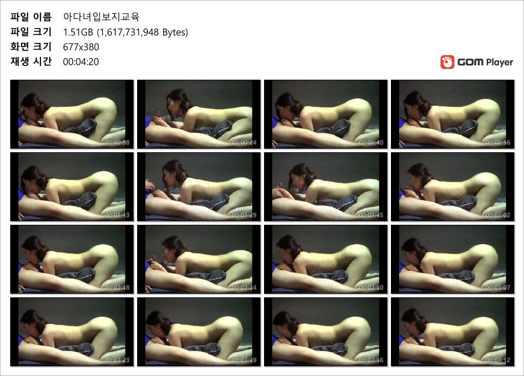 아다녀 입보지 교육 ☆ 무광고원본 미리보기 5