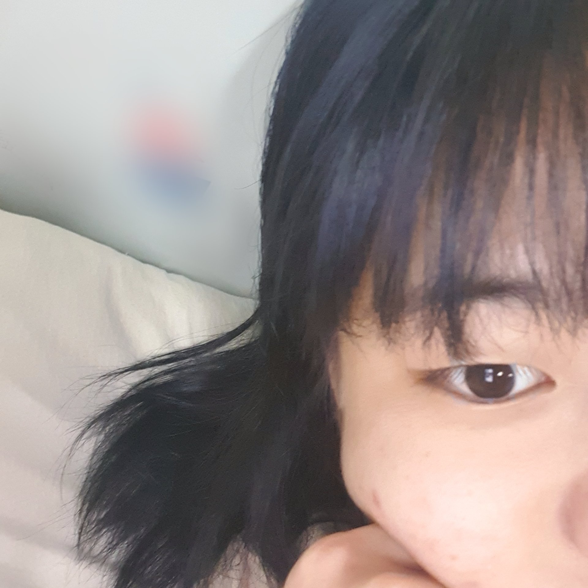 트위터 개족보_11명 관계도 미리보기 27