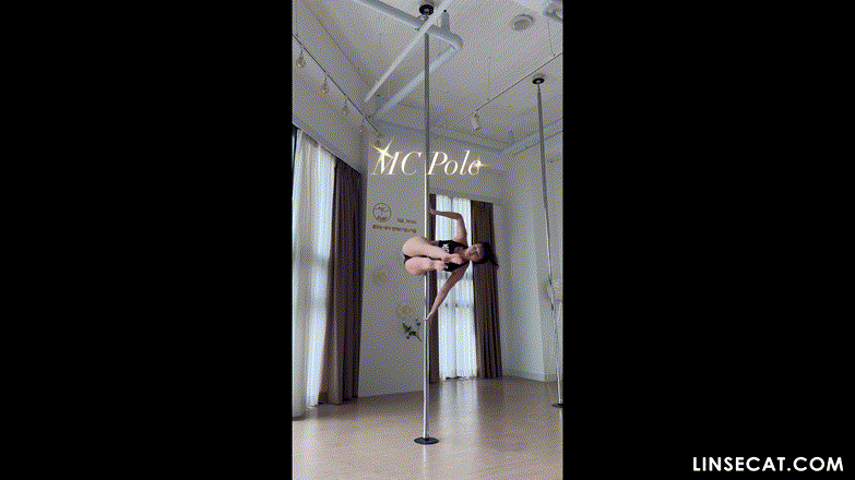 신작IP ✨ 폴댄스학원 + 인스타 릴스포함 미리보기 12