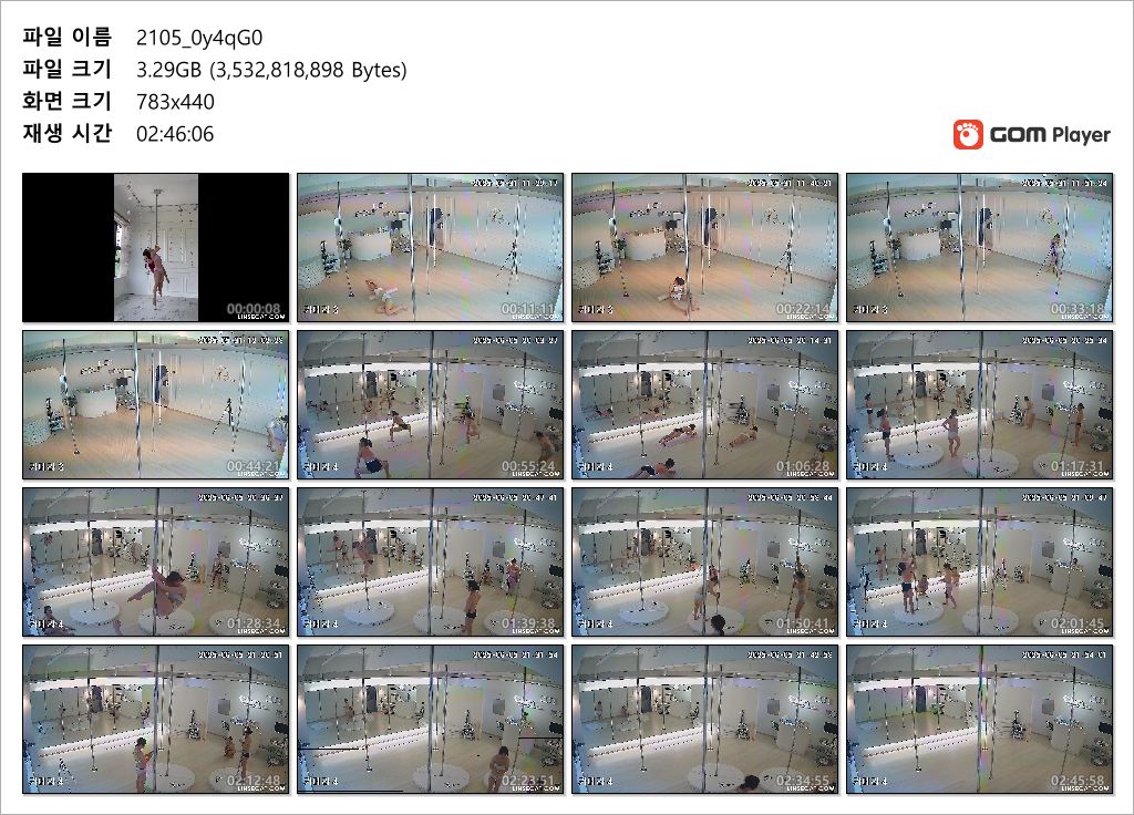 신작IP ✨ 폴댄스학원 + 인스타 릴스포함 미리보기 15