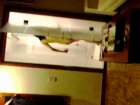 명작_전여친 3V/57P 미리보기 6