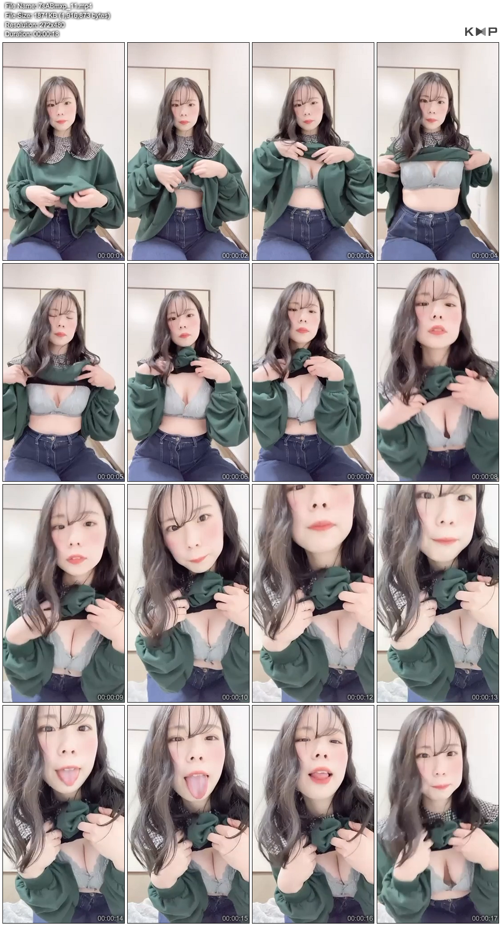 일본 웹캠 모음 미리보기 4