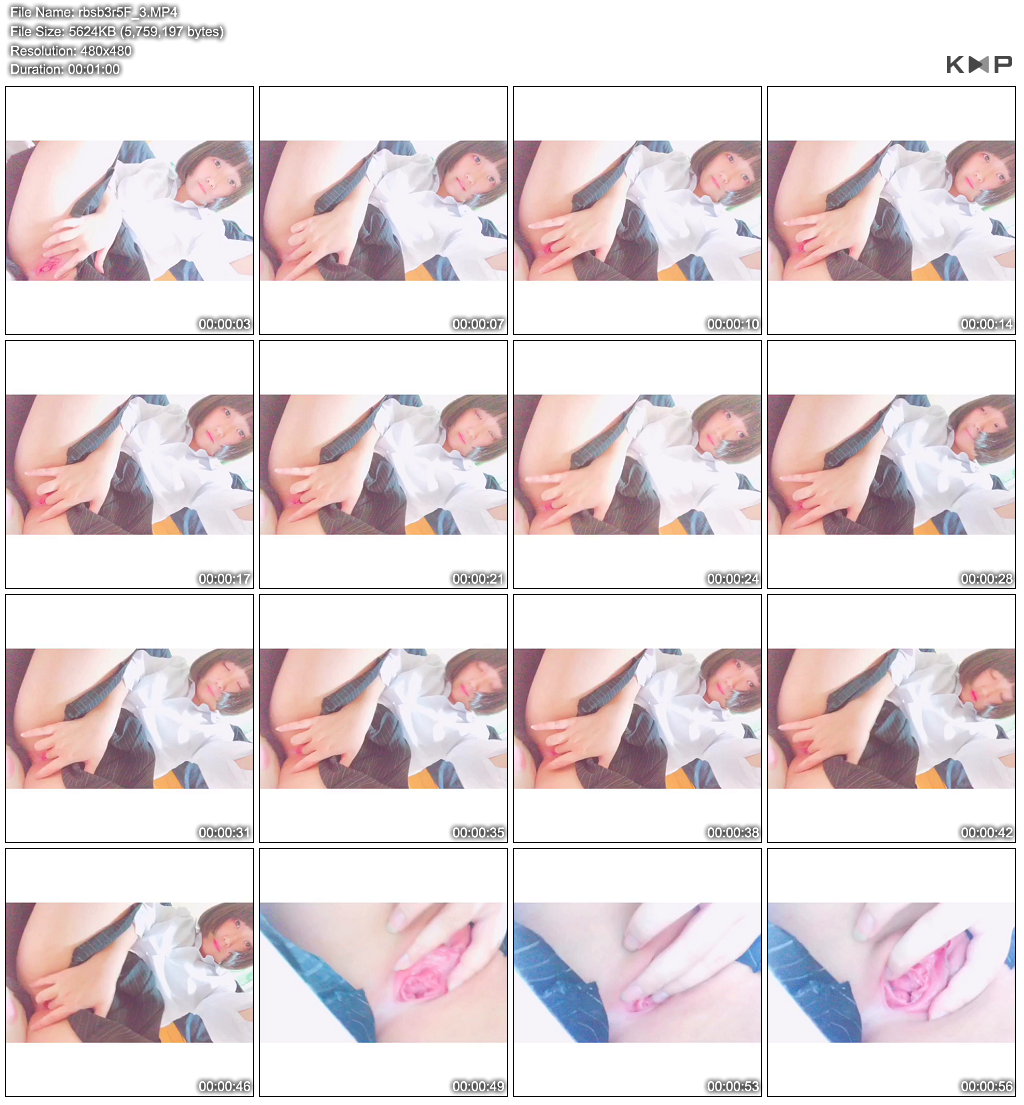 일본 웹캠 모음 미리보기 3