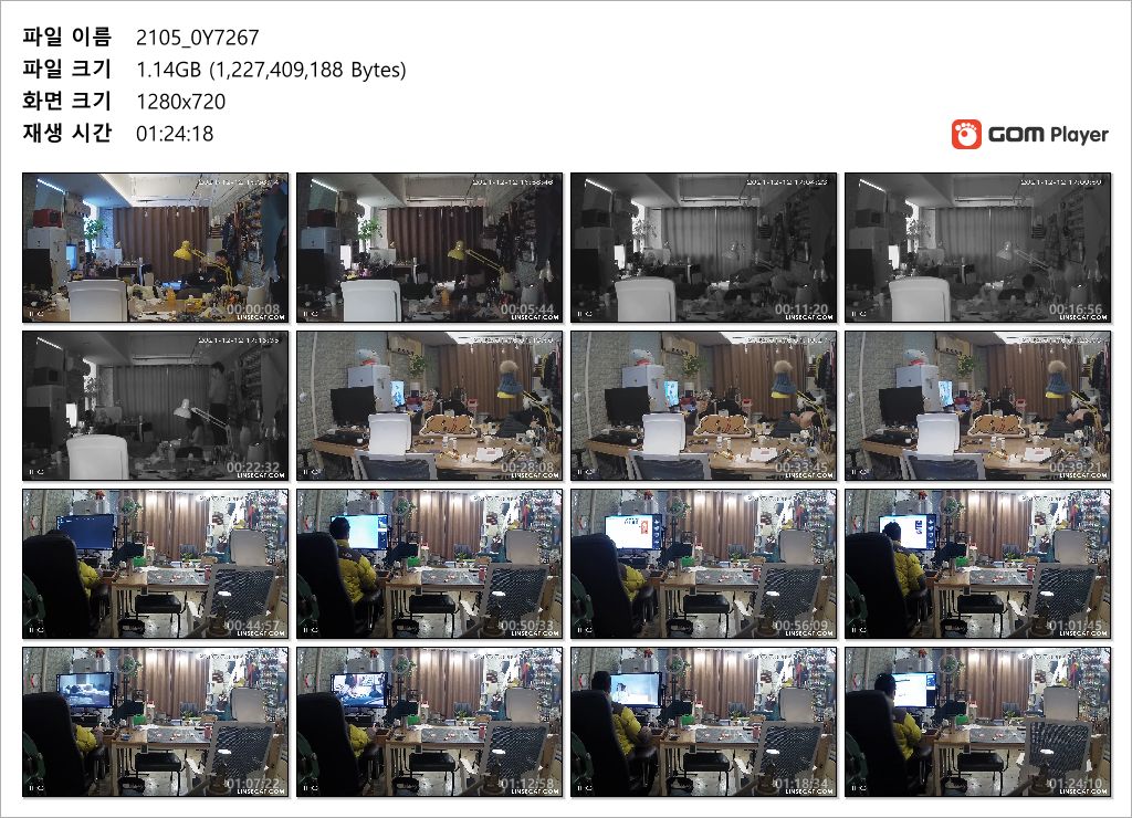 신작IP ✨수선집_섹스커플 [섹스장면 몰카 본인이 찍음] 미리보기 8