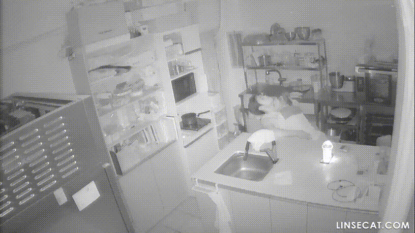 신작IP ✨ 케잌가게 주방_사장과 알바 미리보기 3