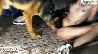 i love dog