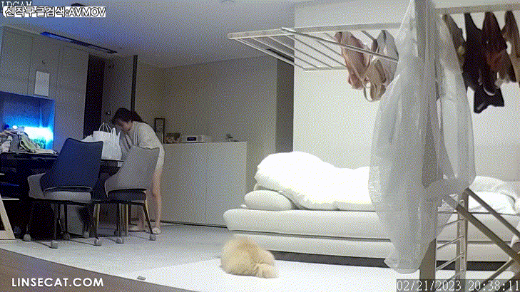 신작IP ✨가정집 해킹모음 미리보기 8