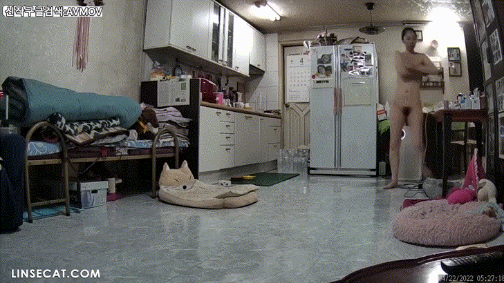 신작IP ✨가정집 해킹모음 미리보기 22