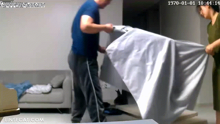 신작IP ✨가정집 해킹모음 미리보기 25