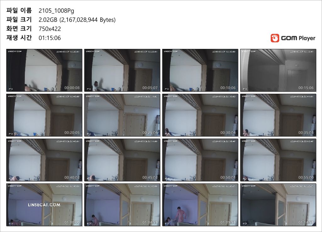 신작IP ✨25.03.29 커플섹스 방안천장캠 미리보기 11