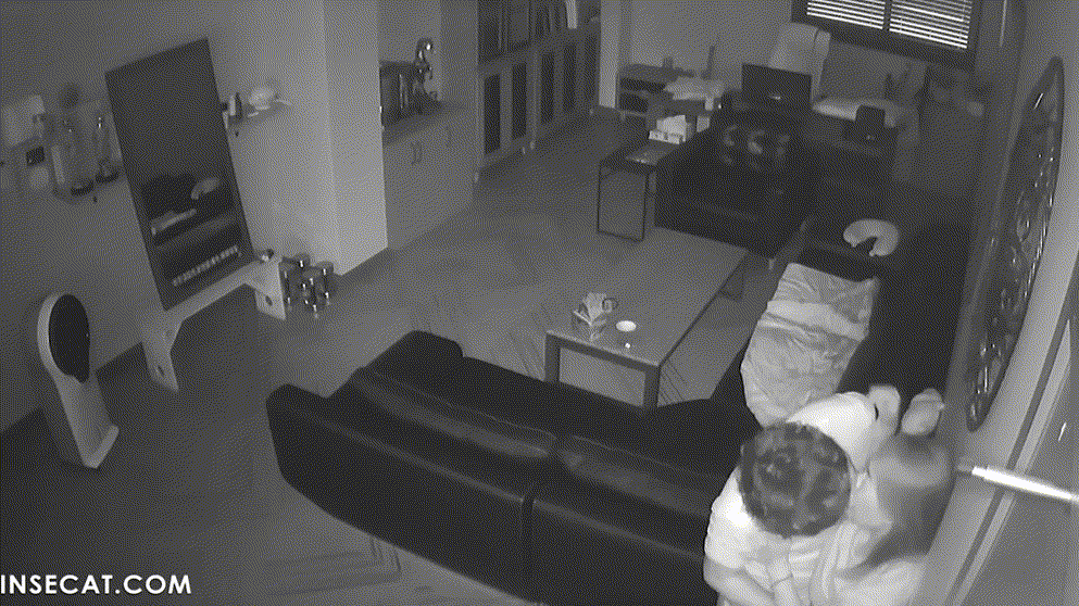 신작IP ✨4일간 3명의 여자_사무실 안경사장 미리보기 12