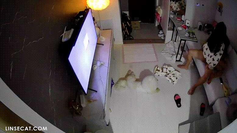 신작IP ✨ 36시간 동안 6번섹스_미친커플.섹스 후 몰래 자위 걸려 또 섹스 미리보기 7