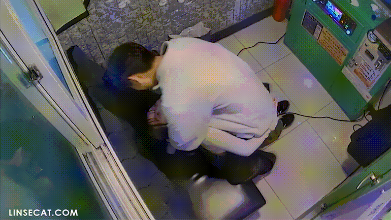 IP_코인노래방BEST 모음 [신작 ✨포함] 미리보기 4