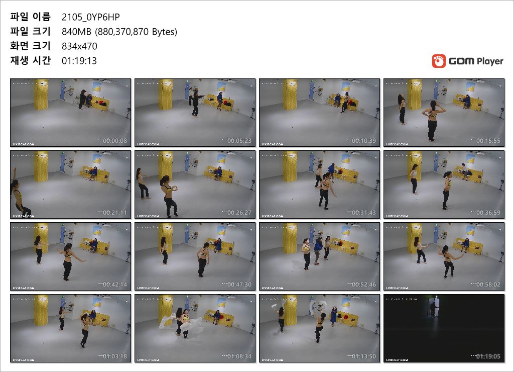 신작IP ✨ 한국무용 댄스연습실 미리보기 5