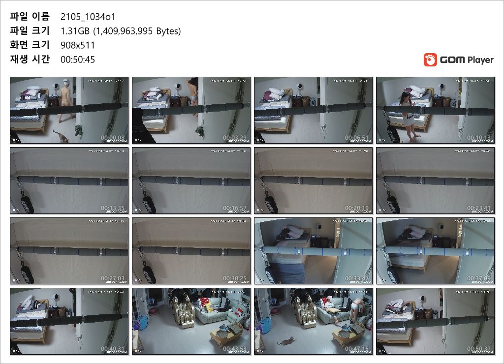 신작IP ✨ 턱걸이봉_안방 탈의부부 미리보기 13