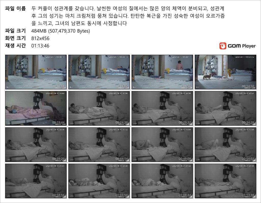 신작IP ✨가정집 해킹_섹스2커플 합본 미리보기 9