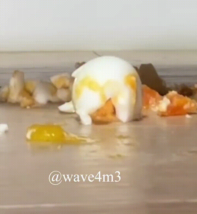 신작 [최근추가]✨wave4m2 125V [보지학대녀] 혐 미리보기 11