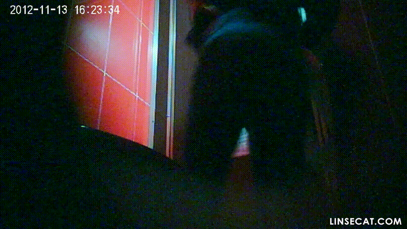 신작IP ✨ 한국화장실 미리보기 9