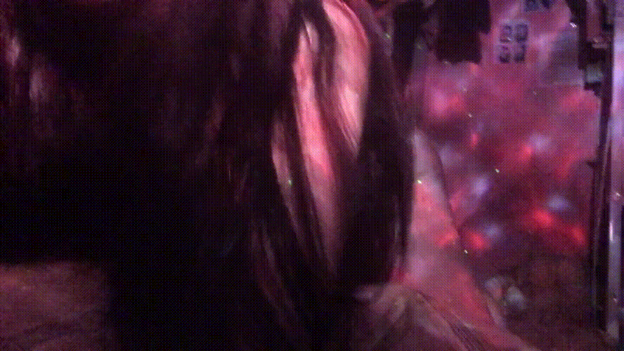 신작 ✨양이고 메이드복 10V/47V [얼공] 미리보기 7