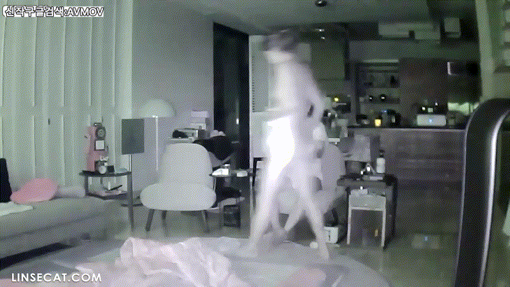 신작IP ✨가정집 해킹모음 미리보기 13