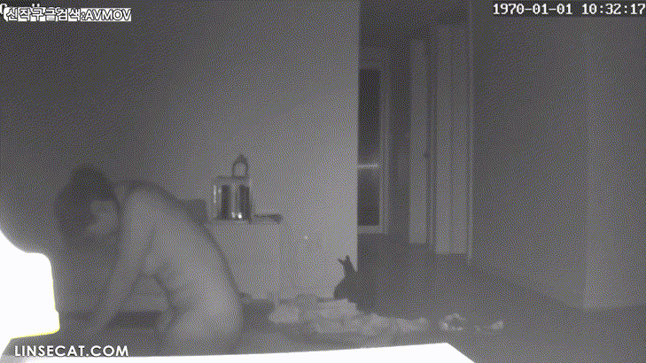 신작IP ✨가정집 해킹모음 미리보기 21