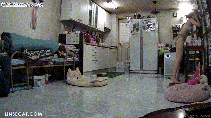 신작IP ✨가정집 해킹모음 미리보기 25