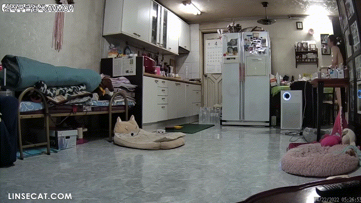 신작IP ✨가정집 해킹모음 미리보기 27