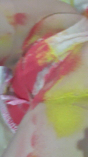 로시아 youhj323 ★ 마법의 가루 뿌려주세요~비방 [레어] 미리보기 4