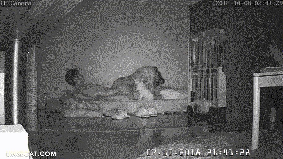 신작IP ✨ 부부섹스 [팬티입고/스타킹/거실섹스] 미리보기 9