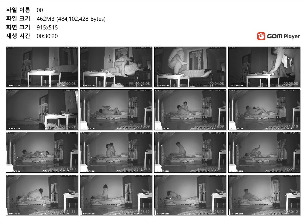 신작IP ✨ 부부섹스 [팬티입고/스타킹/거실섹스] 미리보기 16