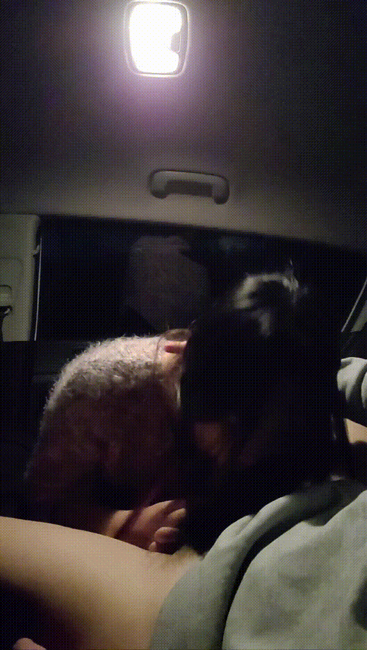 【주말용급딸】 꼴리는거 모음 8V_신작포함 미리보기 13