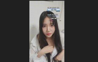 숲 아디 eunsoo6745/ 팬더 아디 edettiehwb1782_꼭노