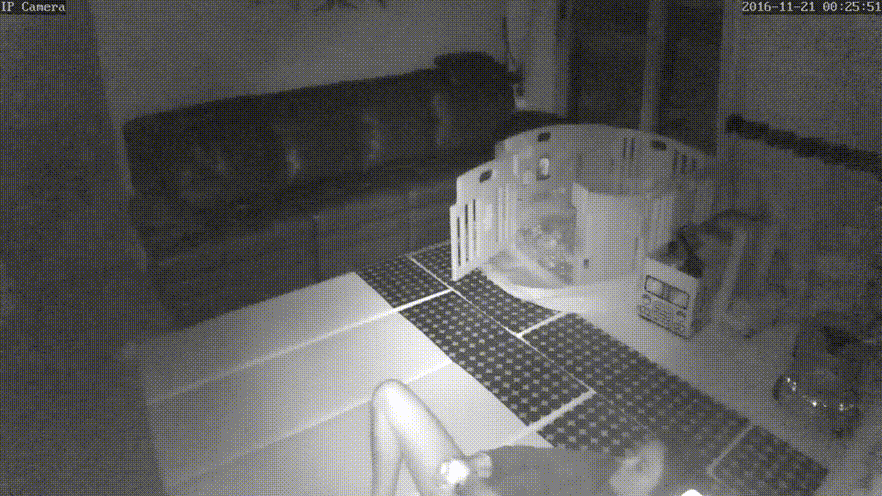 자기위로녀들 [IP] 37V_2.8G 미리보기 5