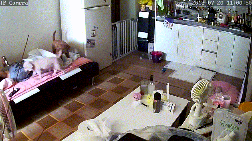 자기위로녀들 [IP] 37V_2.8G 미리보기 14