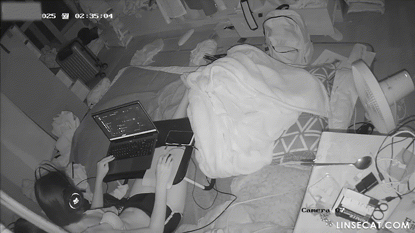 신작IP ✨ ROKA티녀 2명 방안 미리보기 12