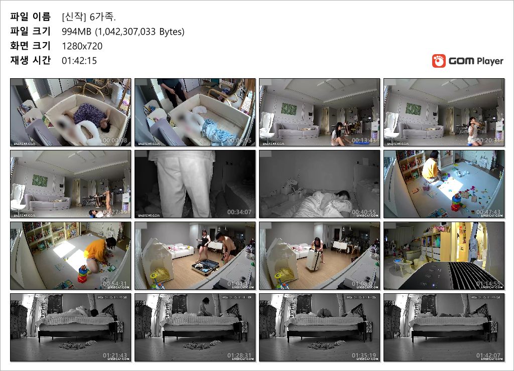 신작IP ✨ 조루증 남편 및 6가족 안방 미리보기 12