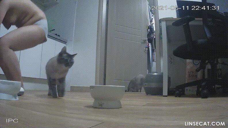 신작IP ✨육덕녀_소리 有 3번섹스 미리보기 3