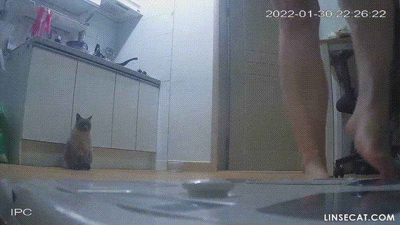 신작IP ✨육덕녀_소리 有 3번섹스 미리보기 4