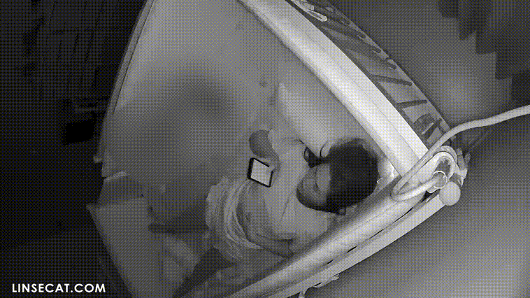 신작IP ✨보지 만지는 여자들+육덕주부 섹스 거실 미리보기 7