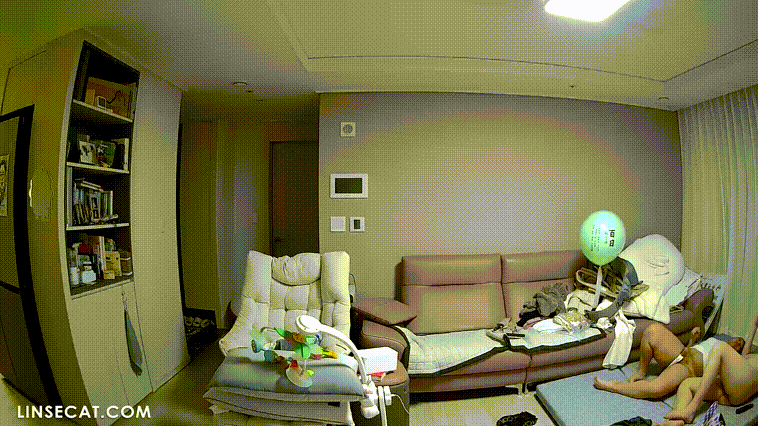 신작IP ✨보지 만지는 여자들+육덕주부 섹스 거실 미리보기 12