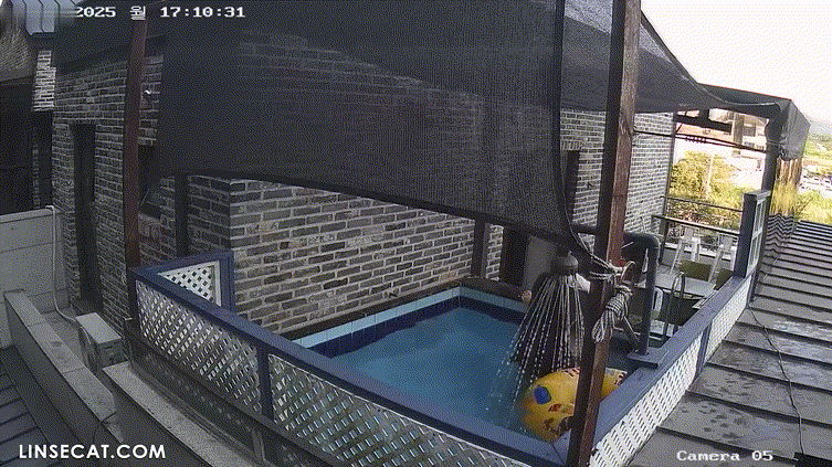 신작IP ✨펜션풀장 3커플 미리보기 8