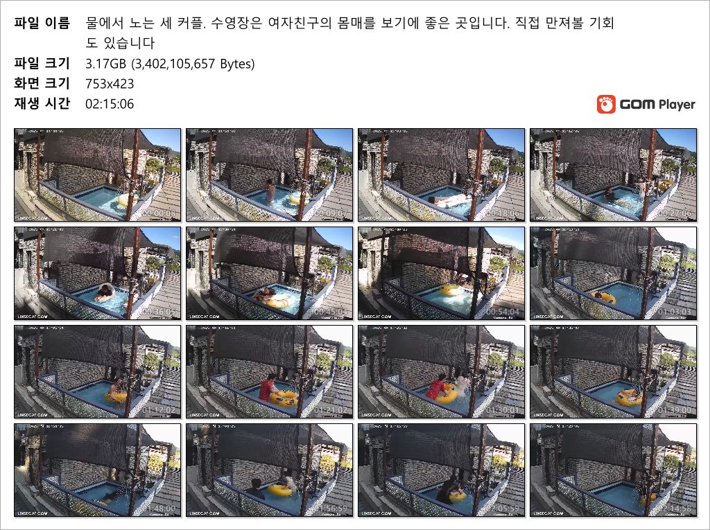 신작IP ✨펜션풀장 3커플 미리보기 11