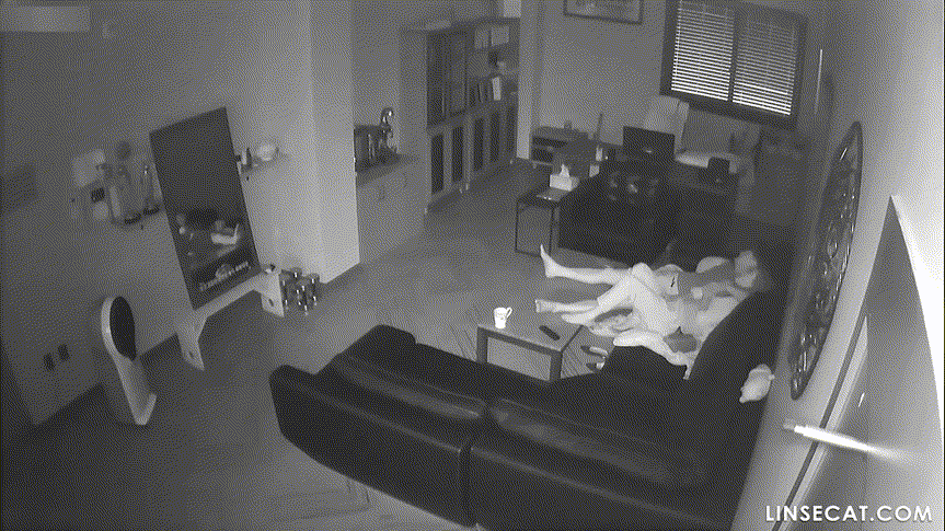 신작IP ✨ 여성편력 심한 사장_기존 쩍벌보빨+새로운 여자들 신작 2V 미리보기 7