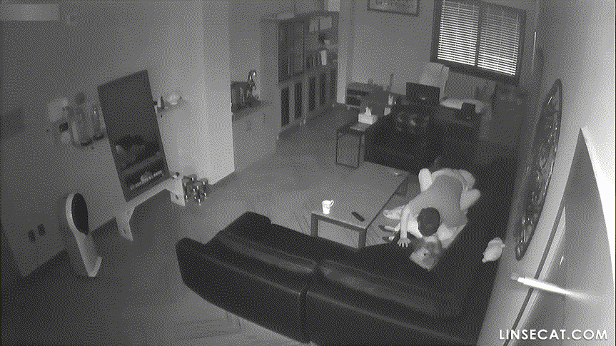 신작IP ✨ 여성편력 심한 사장_기존 쩍벌보빨+새로운 여자들 신작 2V 미리보기 8