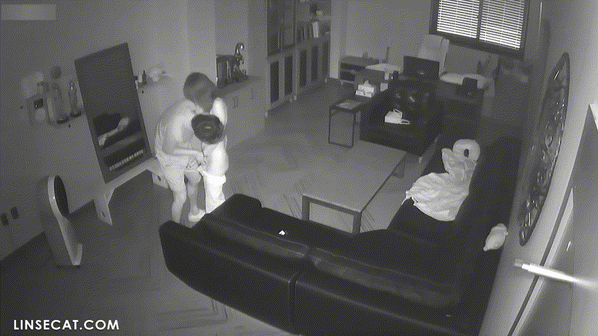 신작IP ✨ 여성편력 심한 사장_기존 쩍벌보빨+새로운 여자들 신작 2V 미리보기 14