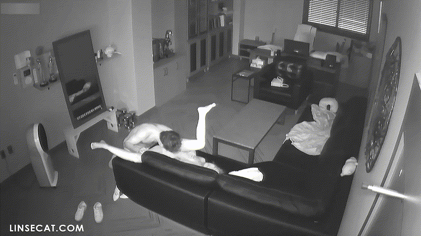 신작IP ✨ 여성편력 심한 사장_기존 쩍벌보빨+새로운 여자들 신작 2V 미리보기 16