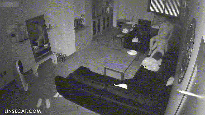 신작IP ✨ 여성편력 심한 사장_기존 쩍벌보빨+새로운 여자들 신작 2V 미리보기 20