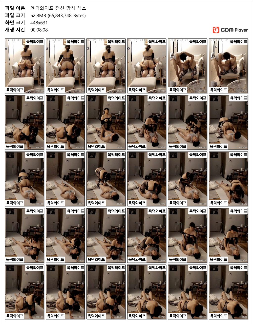 육덕와이프_전신망사섹스 [얼공] 미리보기 10