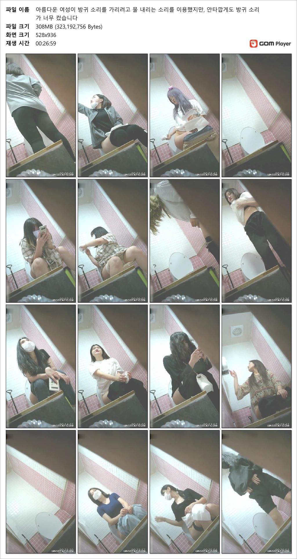 신작 ✨ 노래방 화장실 얼굴예쁜애들 22명 [얼공/보지털] 소리有 미리보기 35