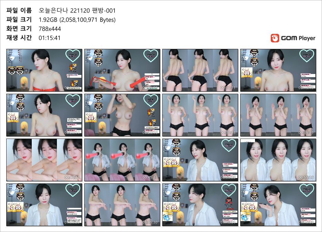 오늘은 다나 ☆ 팬방모음 6V [12시간28분] 24.3G 미리보기 14